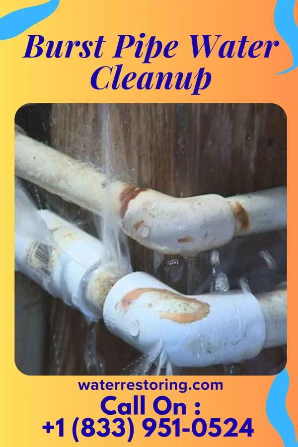 Burst Pipe Water Cleanup in East Pittsburgh, PA