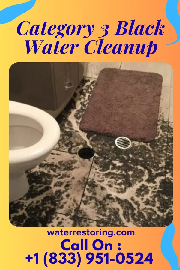 Category 3 Black Water Cleanup in East Pittsburgh, PA