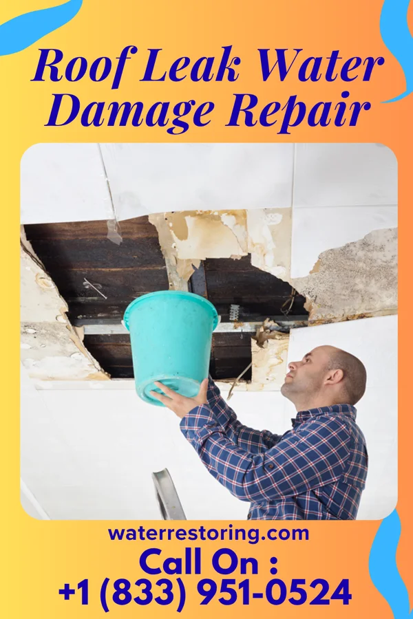 Roof Leak Water Damage Repair in East Pittsburgh, PA