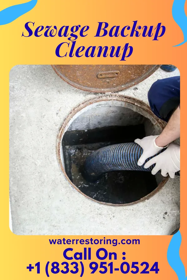 Sewage Backup Cleanup in East Pittsburgh, PA