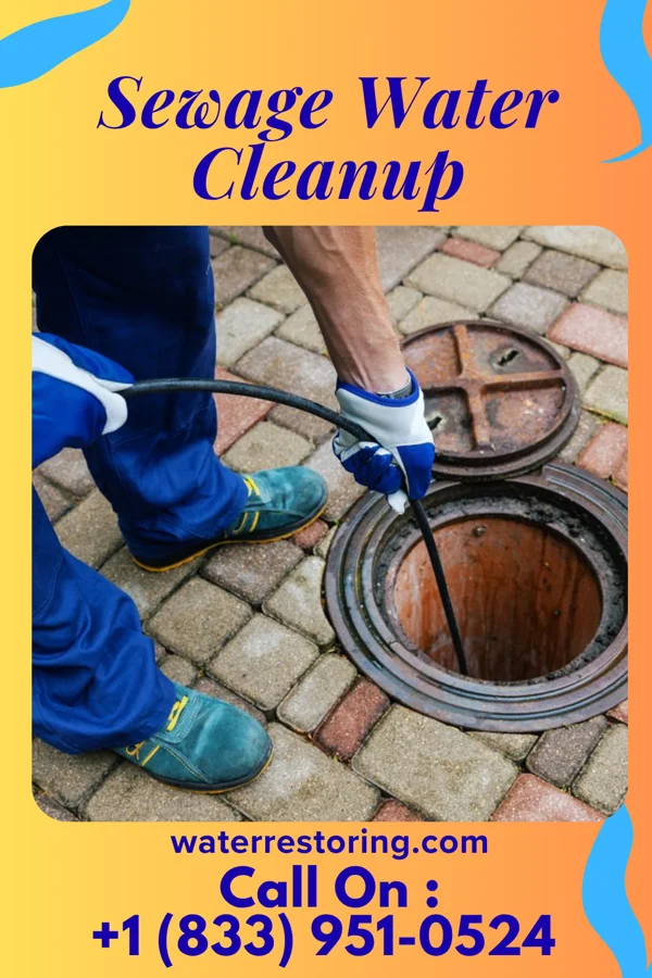Sewage Water Cleanup in East Pittsburgh, PA